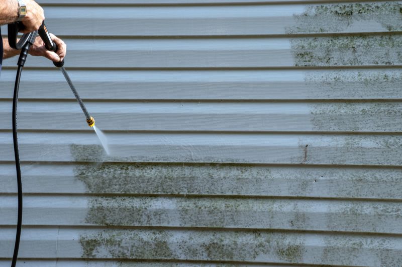 Vinyl Siding Repair - Surface Cleaning